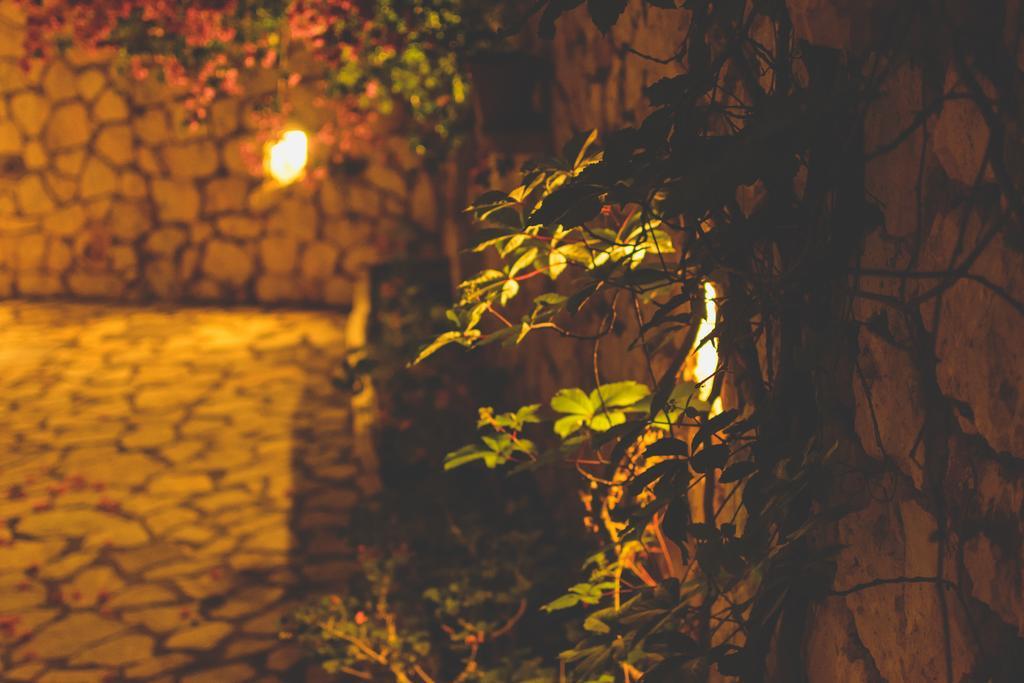 Althea Studios Lefkada Áyios Nikítas Rum bild
