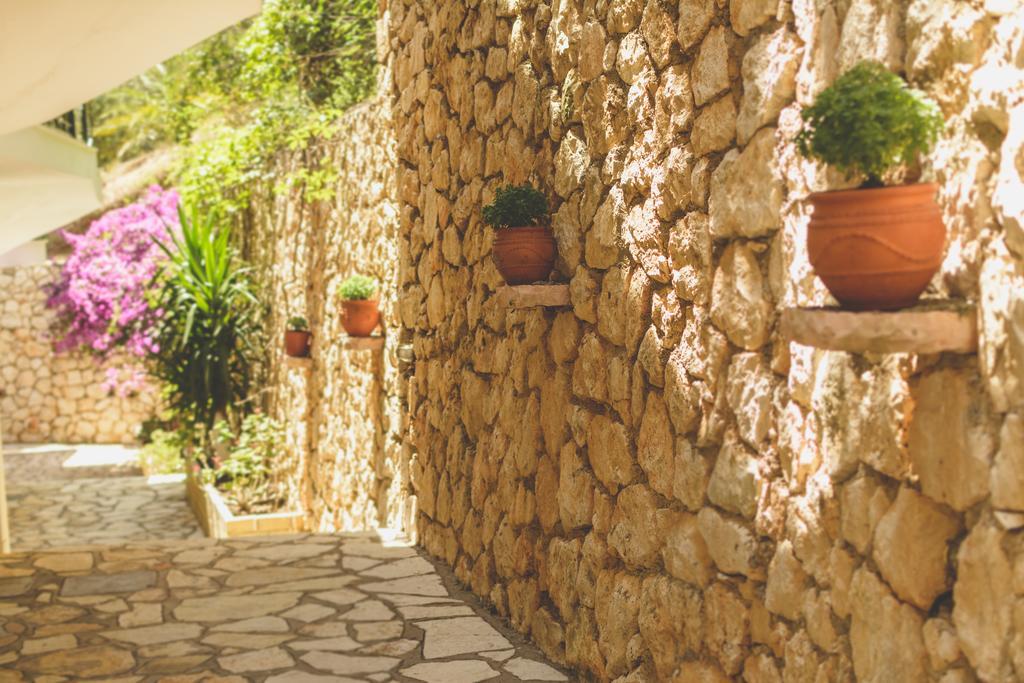 Althea Studios Lefkada Áyios Nikítas Rum bild