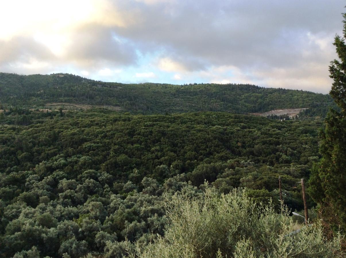Althea Studios Lefkada Áyios Nikítas Exteriör bild