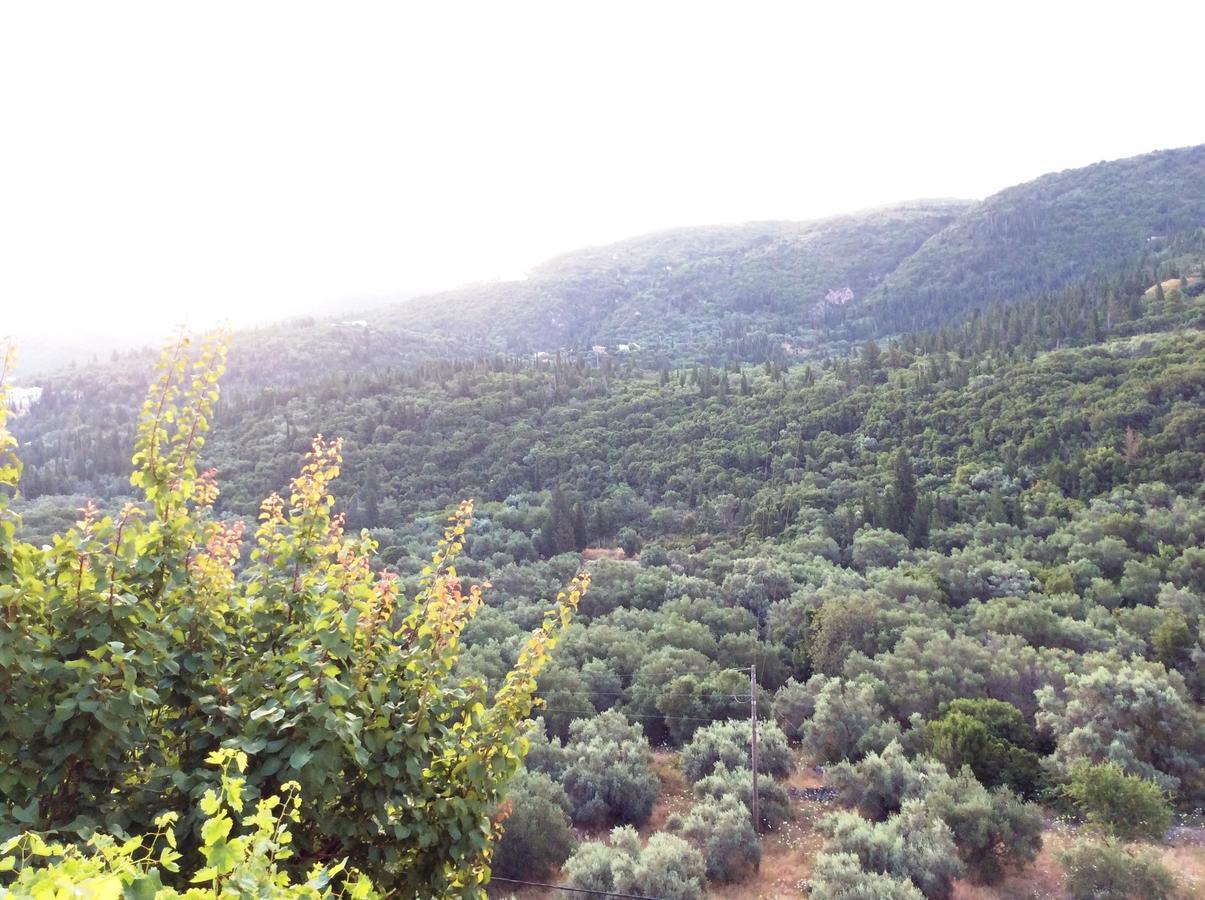Althea Studios Lefkada Áyios Nikítas Exteriör bild